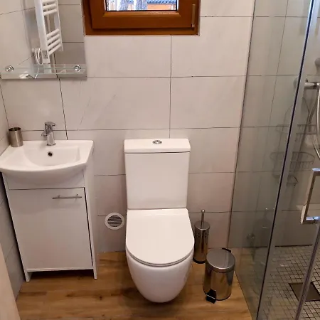 Domek Letniskowy Nad Jeziorem Wdzydze Borsk Exterior foto